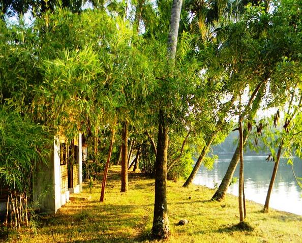 Coconut Island, Thrissur 3